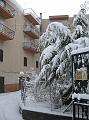 Neve (47)